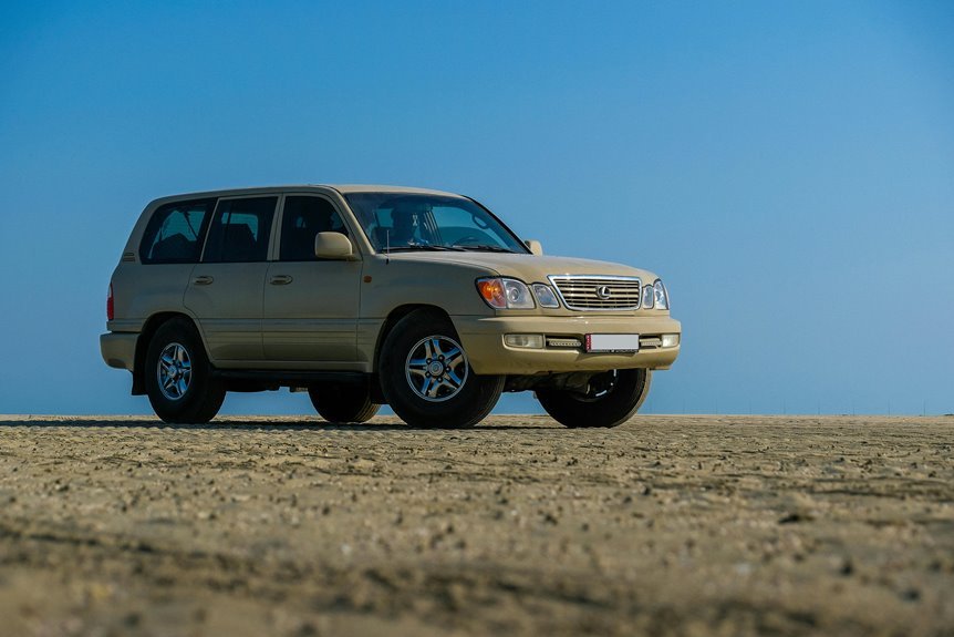 stable online model 910637957