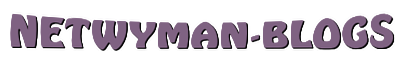 netwyman blogs